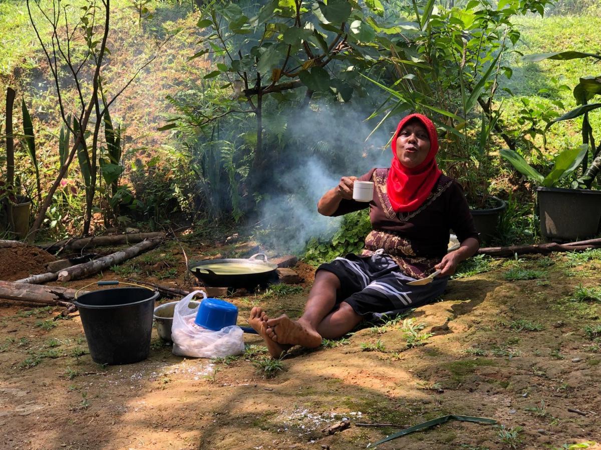Homestay Sumatra Thomas Leaf Monkey & Jungle Trek